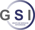 GSI GROUP